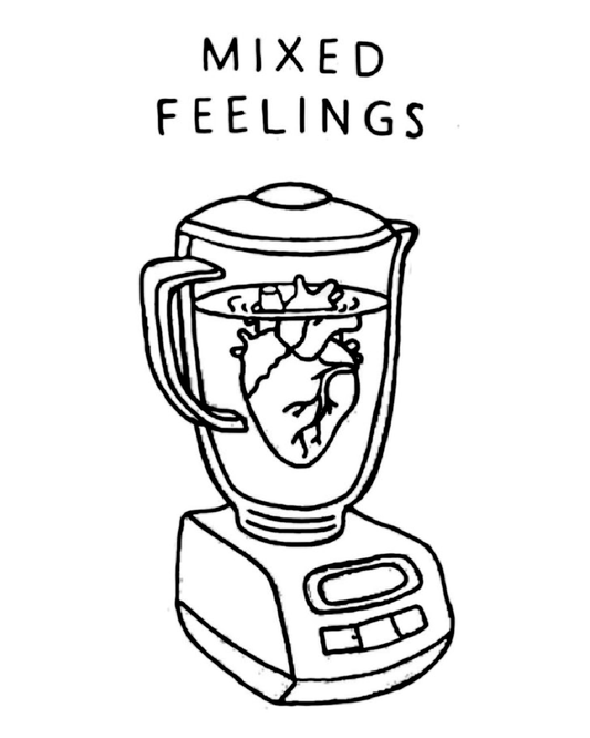 Mixed Feeling in a Blender      2*4 inch